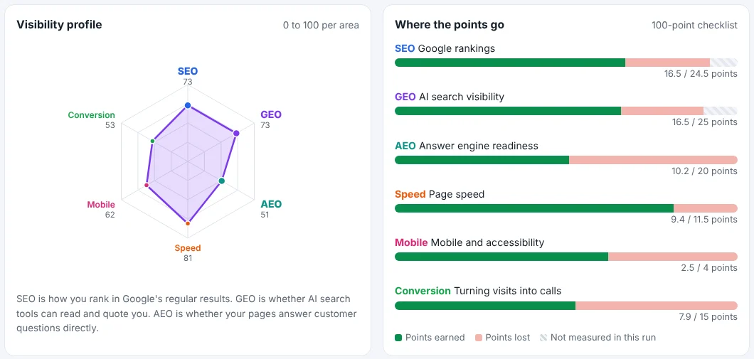 Visibility profile chart and a breakdown of where the 100 checklist points were earned and lost.