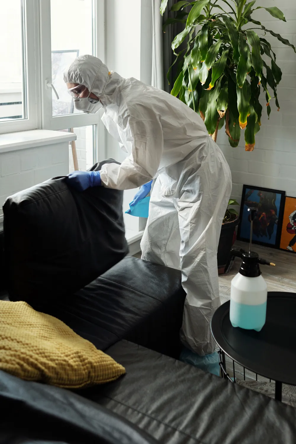 Pest control technician in protective suit and mask treating a living room sofa